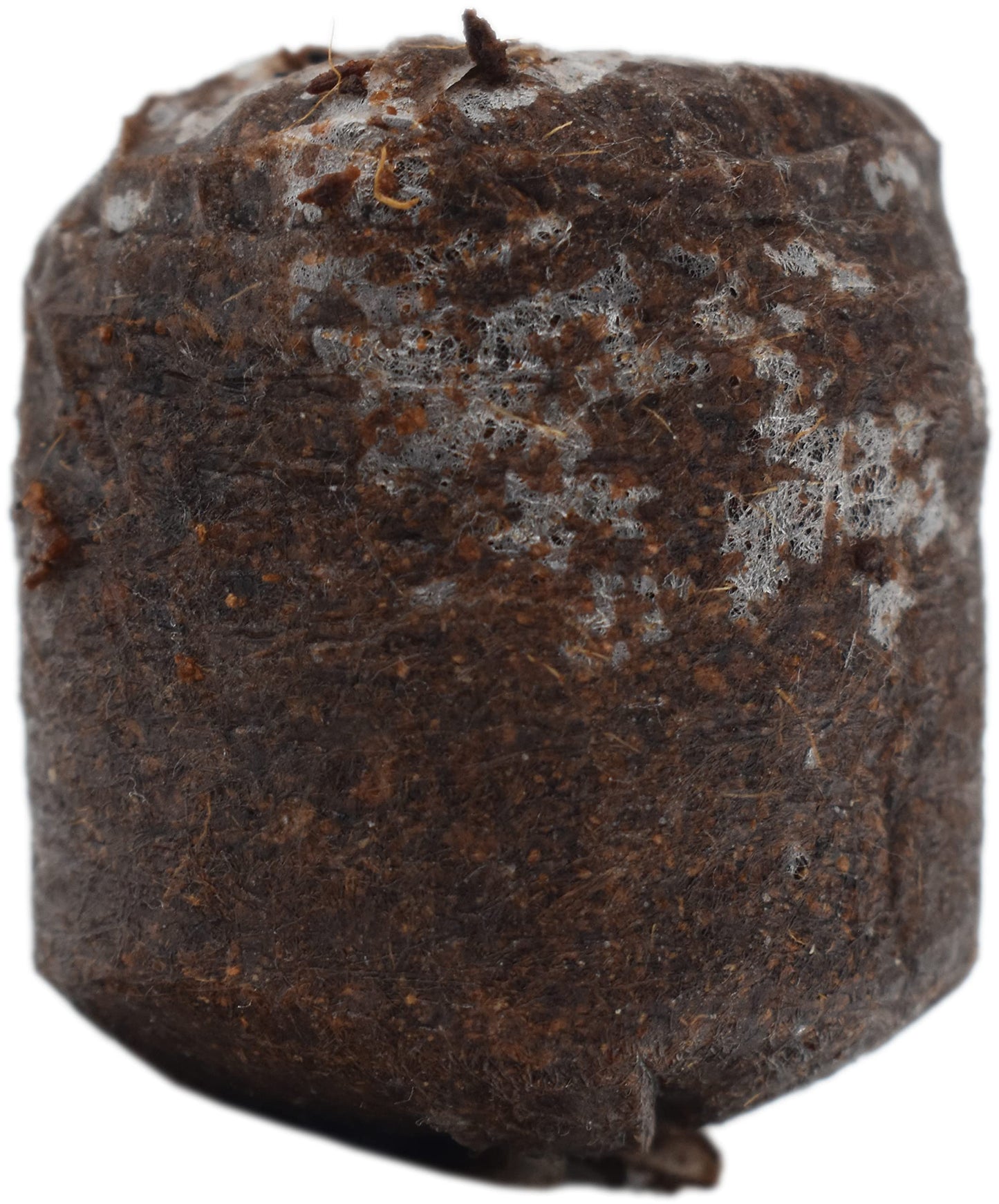 Black Duck Brand Set of 100 Netted Coco Coir Pellets - 38mm - Seed Starter Pellets - Expands with Water - Provides Seeds with The Optimum Starting Soil (100), 123456789